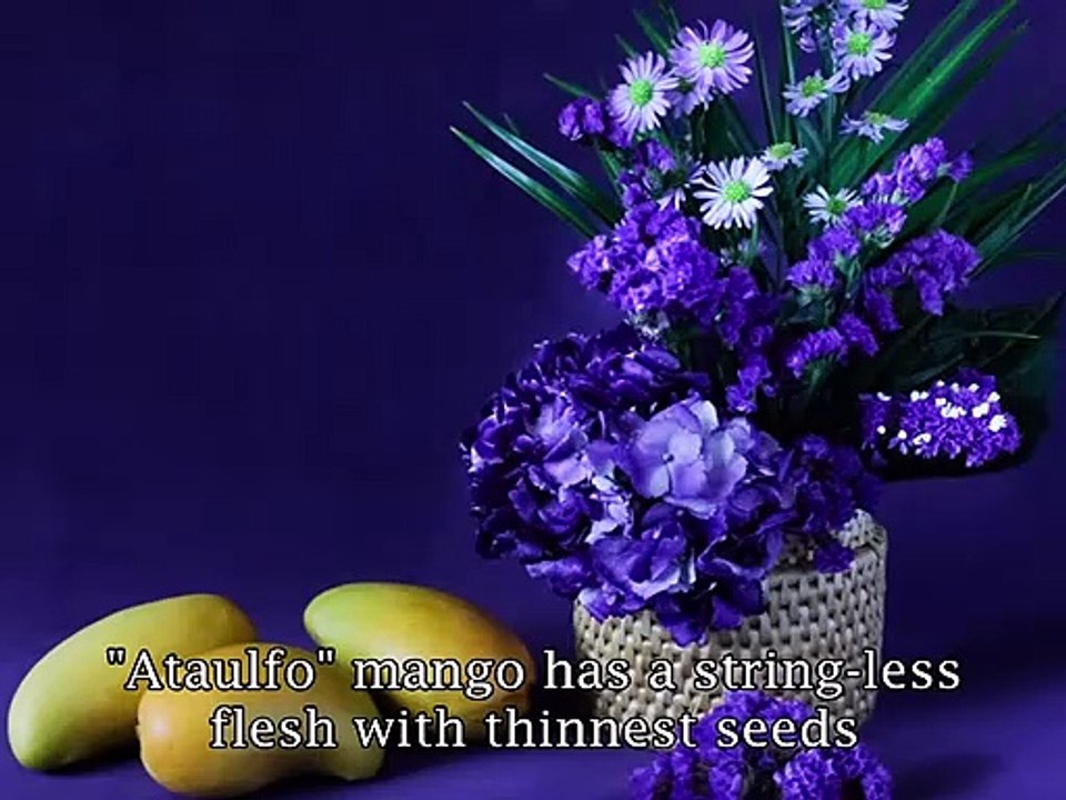 Exotic Fruits And Vegetables