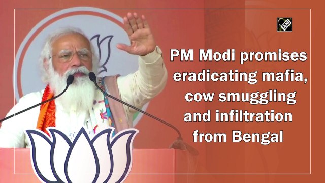 PM Modi promises eradicating mafia, cow smuggling and infiltration from Bengal