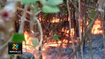 tn7-incendios-forestales-afectan-areas-protegidas-100421