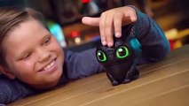 Dreamworks How To Train Your Dragon - Flying Toothless! Can You Train Toothless To Fly For Real!?