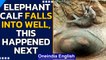 Elephant calf accidently fell into an abandoned well while roaming around | Oneindia News