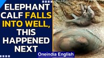 Elephant calf accidently fell into an abandoned well while roaming around | Oneindia News