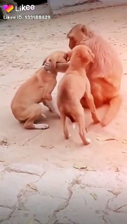 12wFvy-ds.202792868800664403-4140516-1