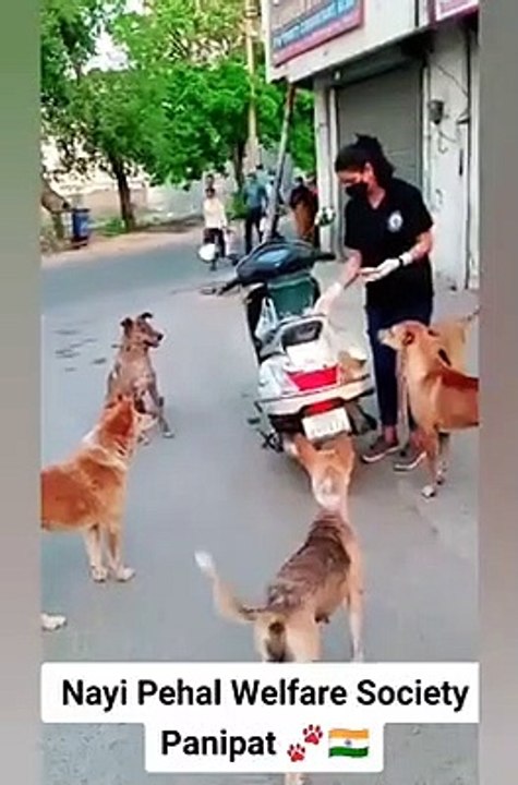 2PsEPo-ds.285194398768457145-16436588-1