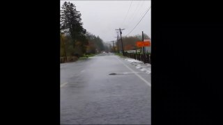 Salmon running in the Skok Valley