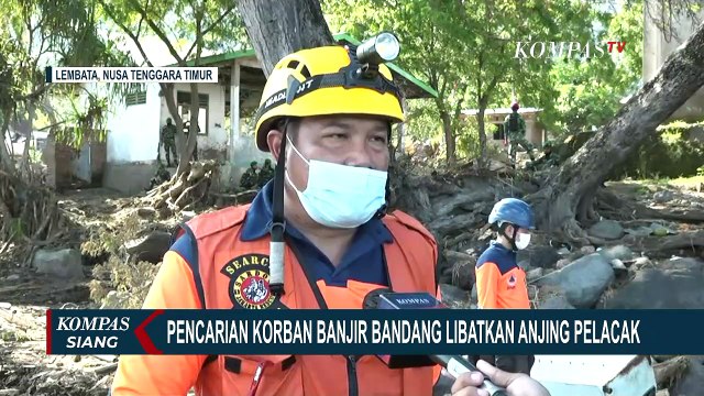 Pencarian Korban Banjir Bandang Difokuskan di Pesisir Pantai, 7 Anjing Pelacak Dikerahkan