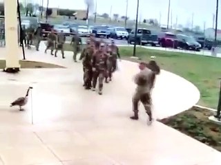 'Kaz' gören ABD askeri arkasına bakmadan kaçtı