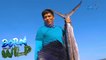 Born to be Wild: Bycatch fishing