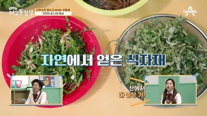 자연에서 찾은 건강비법, 폐암을 이겨낸 건강 밥상의 비밀!