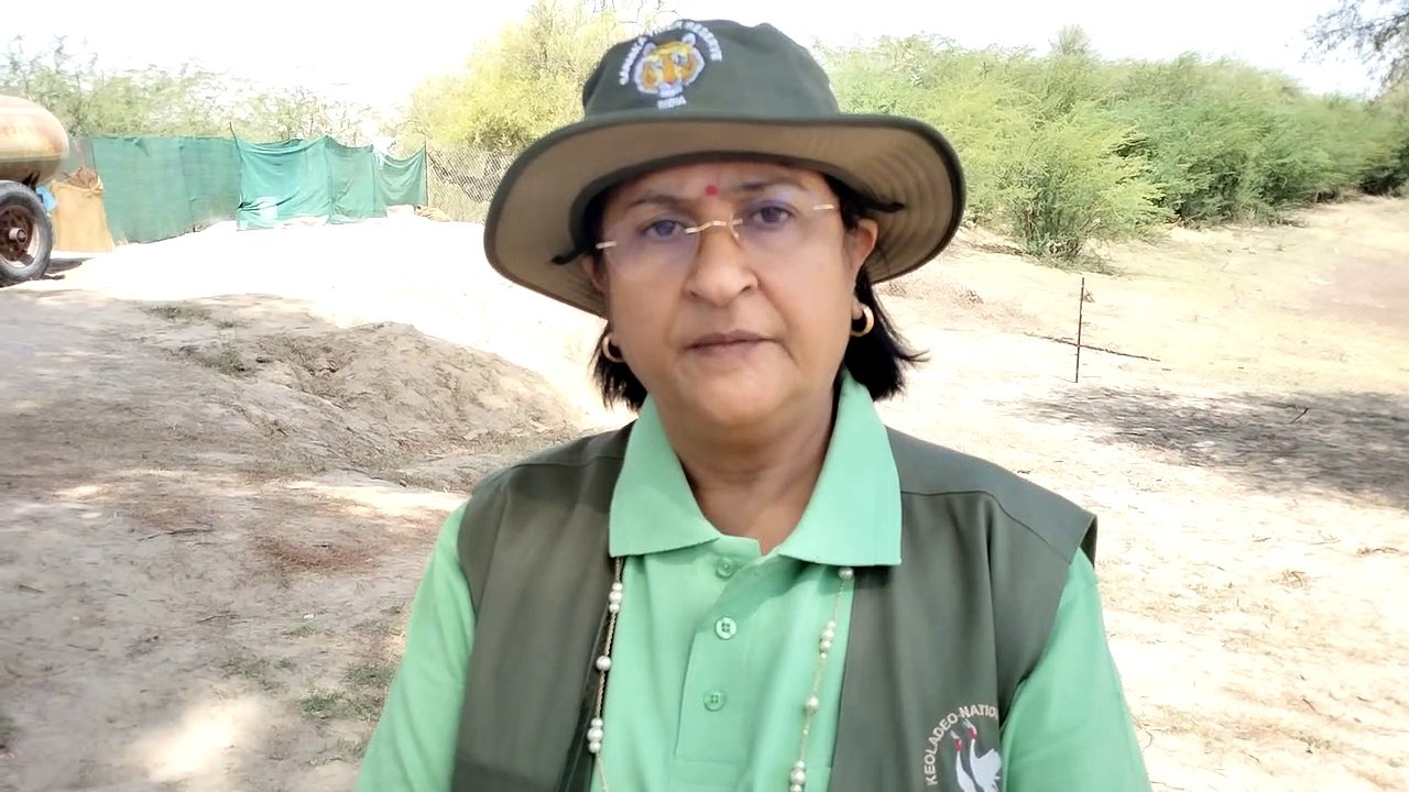 हाईकोर्ट की कमेटी ने सांभर झील का किया दौरा