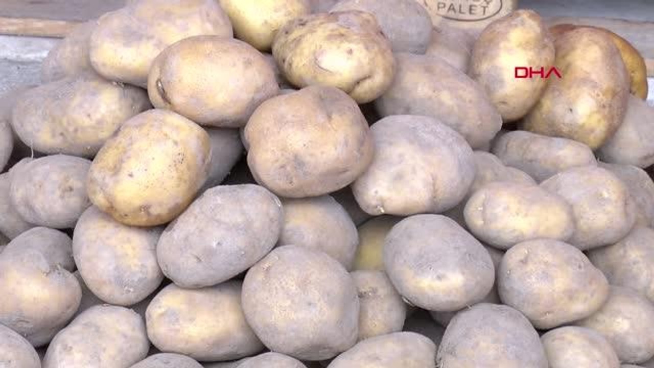 Son dakika haberleri! ADANA KABZIMALLAR ODASI'NDAN, TMO'NUN 'PATATES- SOĞAN' ALIM KARARINA DESTEK