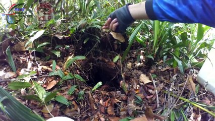 LUBANG MISTERIUS DI TENGAH HUTAN yg terakhir sangat mengejutkan!!!