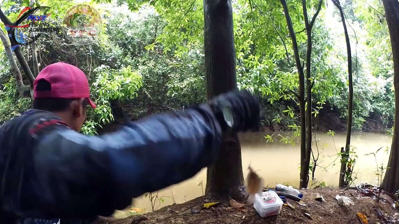 MANCING DAPAT IKAN ANEH, LANJUT Mancing Ikan Gabus Di Spot Rahasia Ep #41