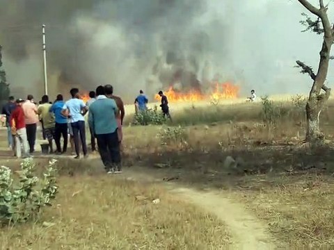 अराजक तत्वों ने लगाई आग, 5 बीघा से अधिक गेहूं की फसल जलकर हुई खाक