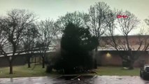 ABD'de okul bahçesinde yıldırım düşen ağaç ikiye ayrıldı