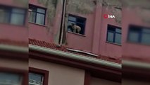 Binanın 9’uncu katındaki köpeğe seslenen vatandaş: “Ne derdin var intihar etme”