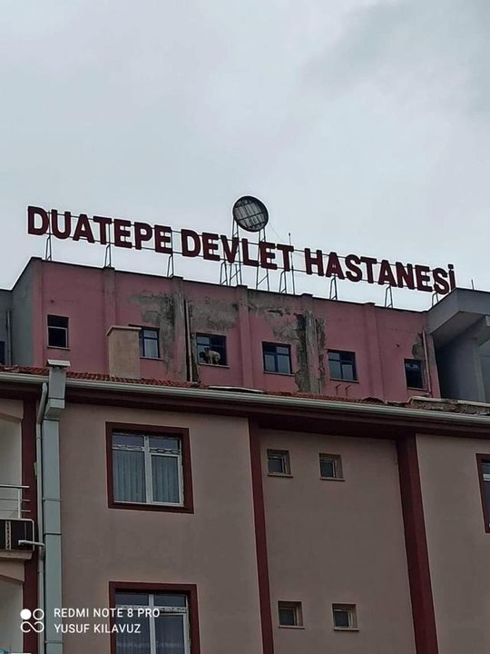 Son dakika! Binanın 9'uncu katındaki köpeğe seslenen vatandaş: "Ne derdin var intihar etme"