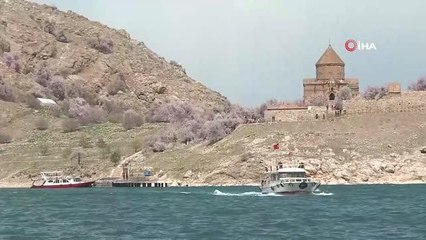 Çiçeklerle bürünen Akdamar Adası'na ziyaretçi akını