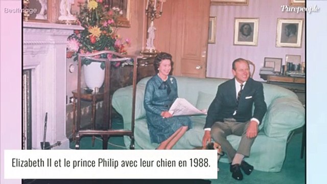 Elizabeth II en deuil : l'épouse du prince Philip se console avec deux jeunes compagnons
