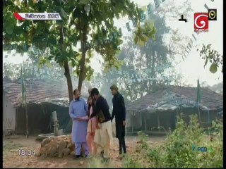 Mini Pahana Obai (223) 11-04-2021