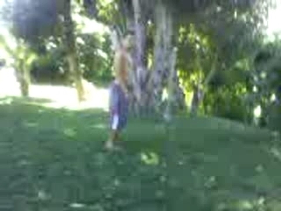 salto