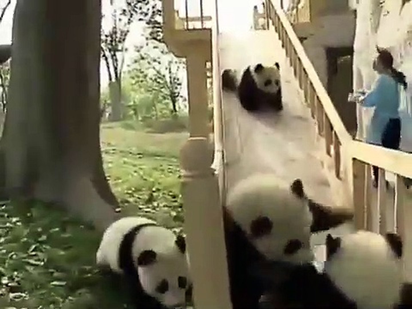 Best videos, Top videos, Viral videos Funny videos no. 88