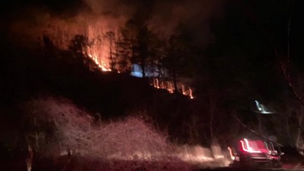 경북 봉화군 산불 1시간만에 진화...300㎡ 소실 / YTN