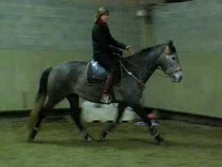 Séance vendredi 15 Février 2008