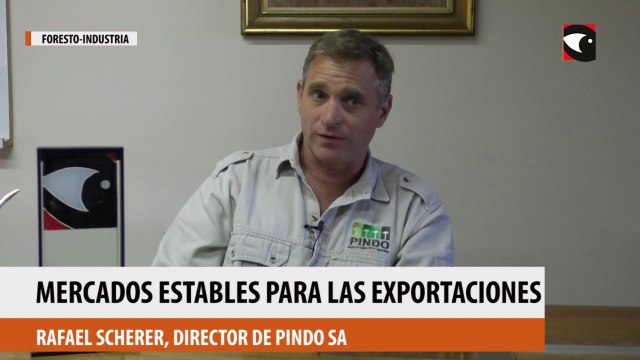 Mercados estables para las exportaciones forestales y yerba mate