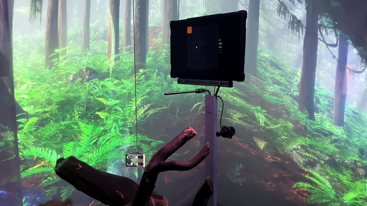 Un singe joue par la pensée grâce à un implant Neuralink