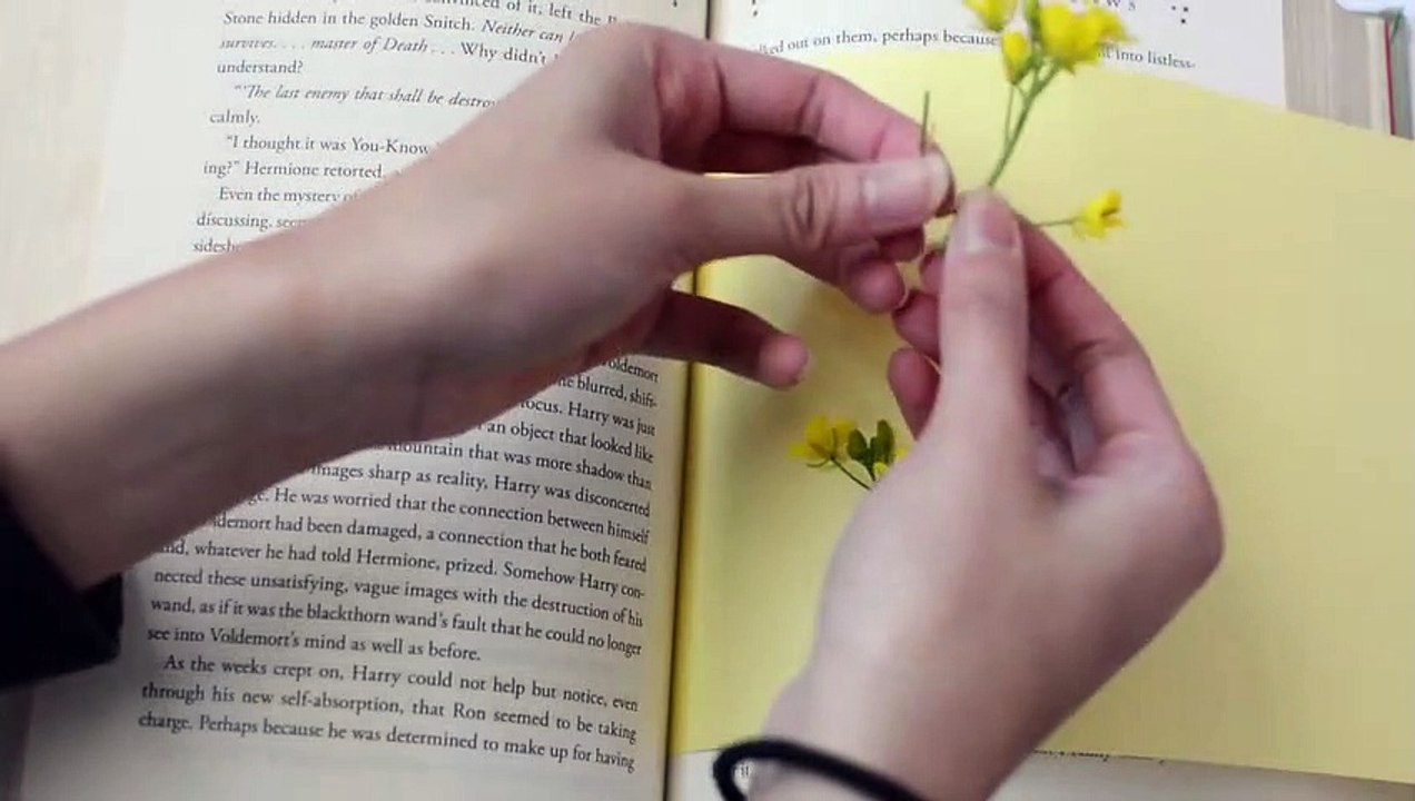 Diy "Art Hoe" Aesthetic Room Decor - Easy & Inexpensive