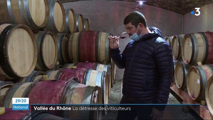 Vallée du Rhône : les viticulteurs continuent de constater les pertes à cause du gel