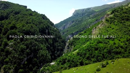 Il suono delle tue ali - Paola Crisgiovanni