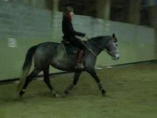 Séance vendredi 15 Février 2008