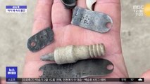 [이슈톡] 사라진 개 인식표…악어 위장서 발견