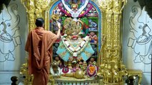 Aarti Darshan Salangpur Date  10-04-2021