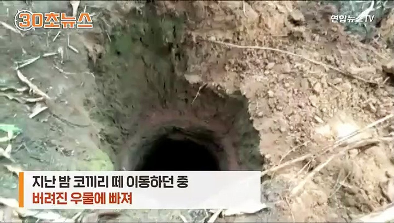 [30초뉴스] "엄마, 저 우물에 빠졌어요"…새끼 코끼리 '구출 작전'