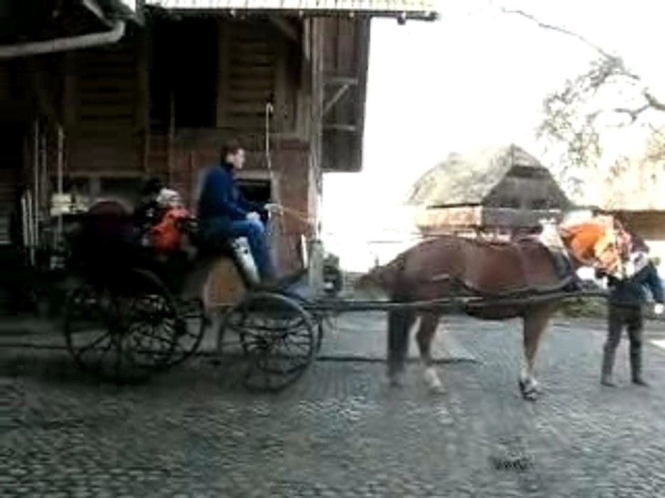 vieille voiture à cheval