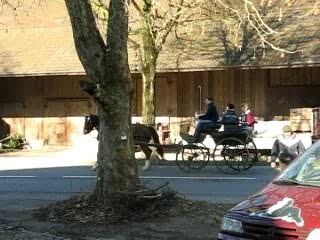 voiture à cheval suite