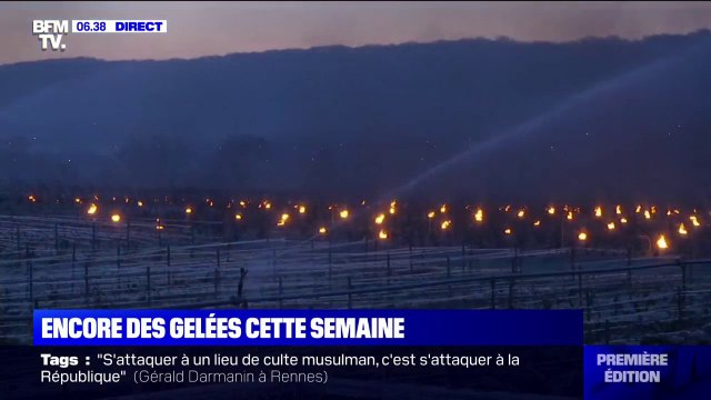 Pourquoi des vignerons arrosent-ils leurs vignes pour lutter contre le gel ?