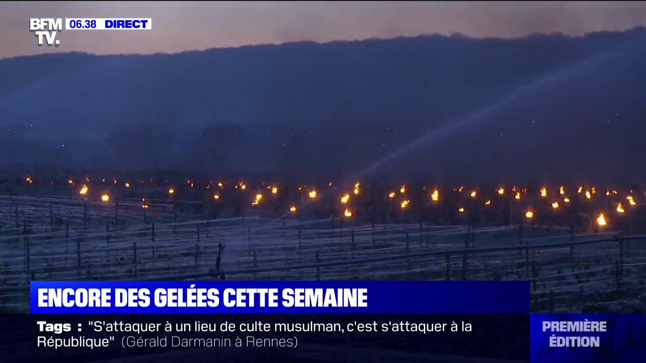 Pourquoi des vignerons arrosent-ils leurs vignes pour lutter contre le gel ?