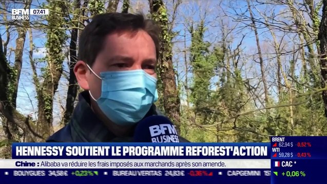 Impact : Hennessy soutient le programme Reforest'Action par Cyrielle Hariel - 12/04