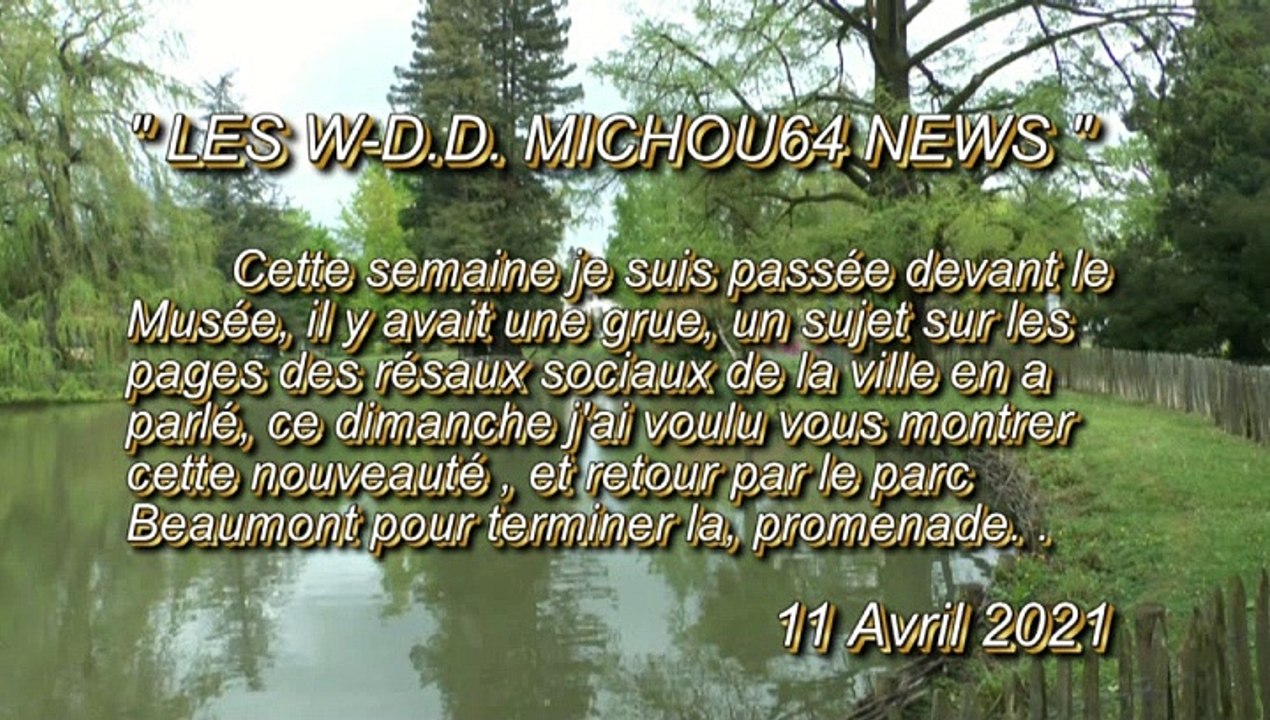 LES W-D.D. MICHOU64 NEWS - 11 AVRIL 2021 - PAU - PROMENADE DOMINICALE POUR ALLER VOIR  LES NOUVEAUTÉS DU JARDIN DU MUSÉE DES BEAUX ARTS