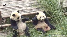 一场关于吃货尊严的争夺