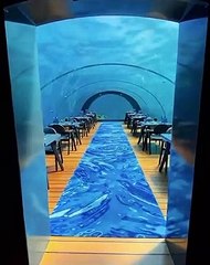 Under Water Restaurant Maldives || Nature || Short 1
