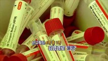 [영상구성] 신규확진 4명 중 1명 감염경로 '불명'…서울시, '서울형 상생방역' 추진