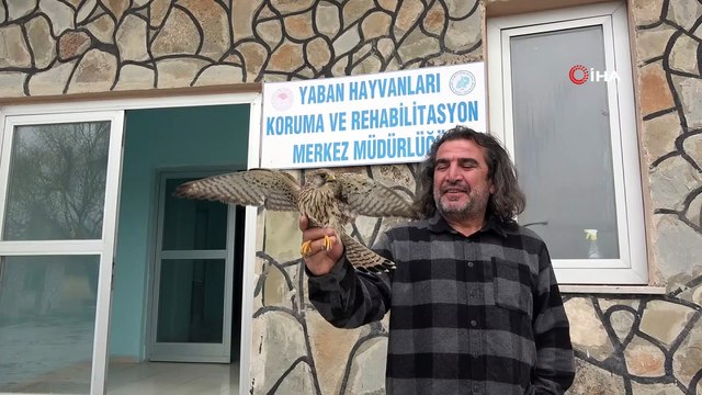 Van YYÜ’ye 20 hasta yaban hayvanı getirilerek tedavi altına alındı