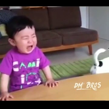 Animals Thug Life | Animals Funny Videos | Animals Funny Whatsappp Status | Dm Brothers