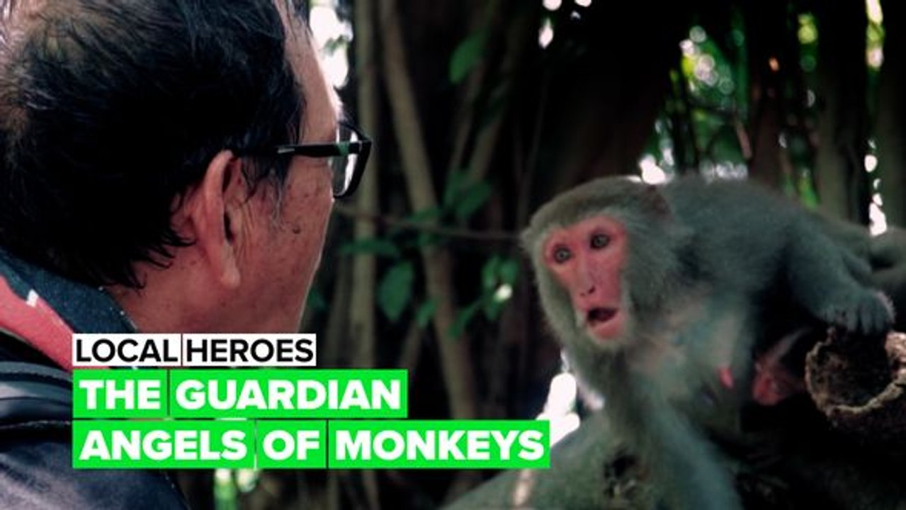 Local heroes: The monkey protector
