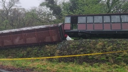 제주 에코랜드 관광용 기차 전도...37명 다쳐 / YTN